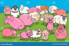 Macellazione suini e ovi-caprini uso privato